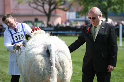 Con Williamson, Glenavy judging the Northern Ireland Blue Club classes.